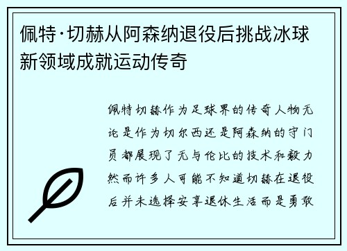 佩特·切赫从阿森纳退役后挑战冰球新领域成就运动传奇